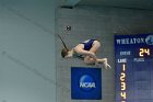 Swimming vs Bentley  Wheaton College Swimming & Diving vs Bentley College. - Photo by Keith Nordstrom : Wheaton, Swimming & Diving